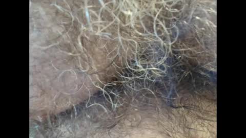 Snapshot of harry_banana chatting on September 2025 01:11:02 PM harry_banana online show from September 2025 01:11:02 PM