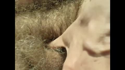 Snapshot of harry_banana chatting on November 2025 03:27:02 PM harry_banana online show from November 2025 03:27:02 PM