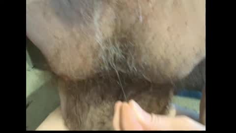 Snapshot of harry_banana chatting on February 2026 01:44:01 PM harry_banana online show from February 2026 01:44:01 PM