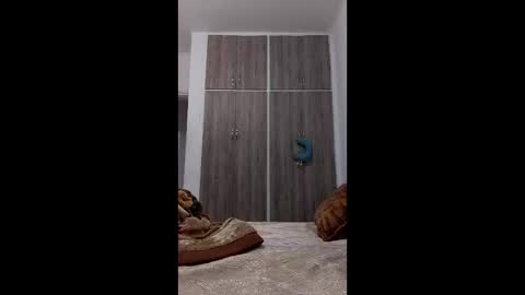 Snapshot of hassane12 chatting on April 2026 11:24:02 PM hassane12 online show from April 2026 11:24:02 PM