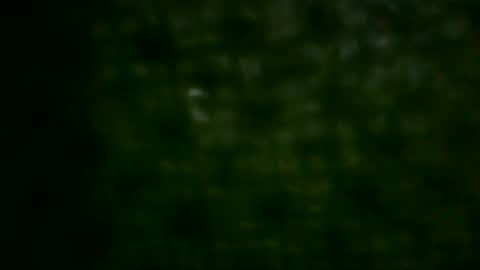 hastra hot online show from May 2026 06:09:01 PM