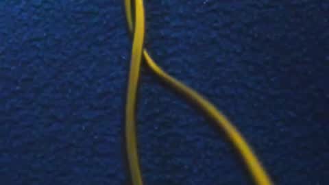 andres online show from March 2025 11:49:02 AM
