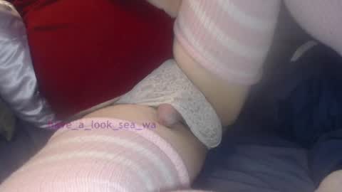 have_a_look_sea_wa online show from December 2024 04:45:02 AM