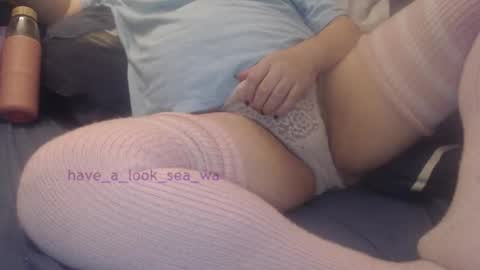 have_a_look_sea_wa online show from November 2025 04:22:02 AM