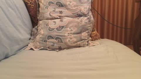 Snapshot of havedream1m chatting on October 2025 09:42:02 AM havedream1m online show from October 2025 09:42:02 AM