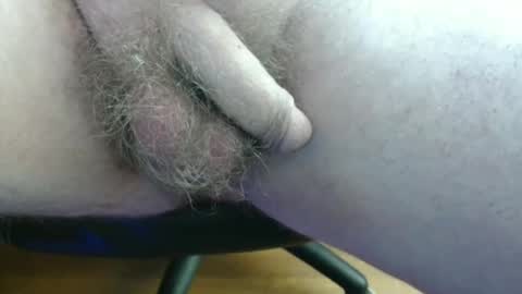 febox online show from June 2026 09:11:01 AM