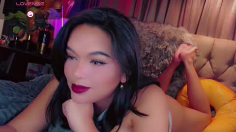 HAYFA online show from November 2025 06:35:02 AM