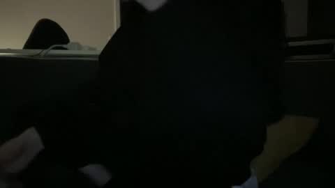 hchappel19 online show from October 2025 08:15:01 PM