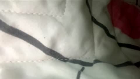 Snapshot of heidy05 chatting on March 2026 12:03:01 AM heidy05 online show from March 2026 12:03:01 AM