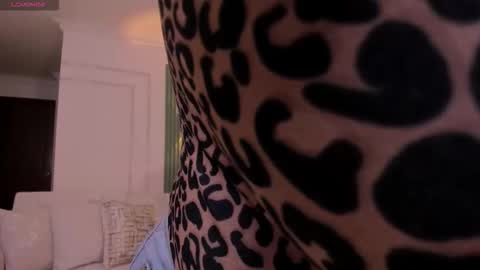 Heidy online show from February 2026 07:26:01 PM