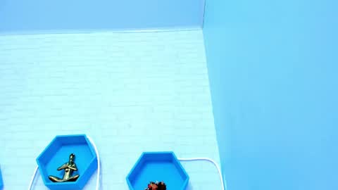    online show from December 2024 05:54:01 PM