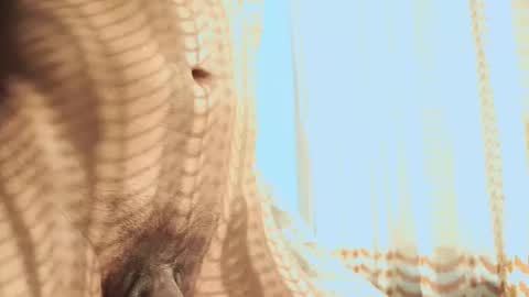 Snapshot of heliero chatting on February 2026 11:32:02 PM Helio online show from February 2026 11:32:02 PM