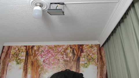 Snapshot of hellen_garcia chatting on December 2024 02:13:02 PM Hellen online show from December 2024 02:13:02 PM