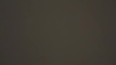 hellohowareyou66 online show from February 2025 02:37:01 AM