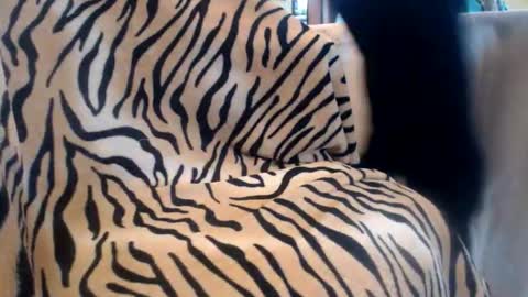 Helvell online show from February 2026 10:44:02 AM