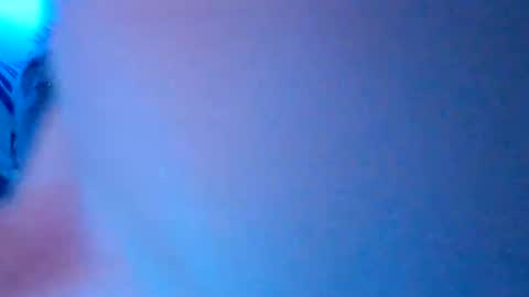 herjafe online show from October 2025 08:50:02 AM