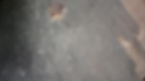 Snapshot of herletigre12345 chatting on October 2025 05:32:02 AM herletigre12345 online show from October 2025 05:32:02 AM