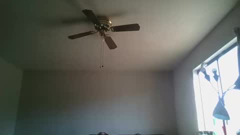 Snapshot of hermannbukowski chatting on October 2025 04:40:02 PM hermannbukowski online show from October 2025 04:40:02 PM