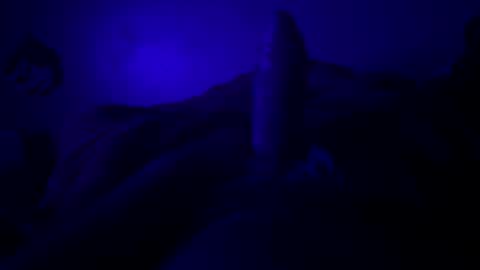 hextor70 online show from March 2026 05:33:01 AM