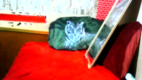 Snapshot of hhhjnf1 chatting on September 2025 07:10:02 AM hhhjnf1 online show from September 2025 07:10:02 AM