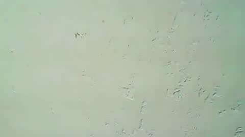 Snapshot of hhhjnf1 chatting on September 2025 03:07:02 AM hhhjnf1 online show from September 2025 03:07:02 AM