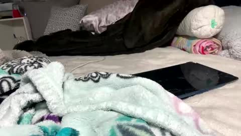 Bondage blondiie online show from June 2026 04:30:02 AM