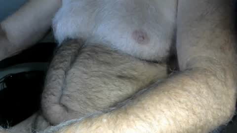 higgins11 online show from October 2025 12:52:02 AM