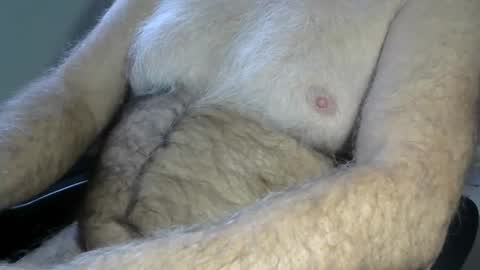 higgins11 online show from November 2025 08:02:01 PM