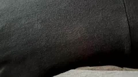 Snapshot of higheguy chatting on February 2026 05:46:02 PM higheguy online show from February 2026 05:46:02 PM