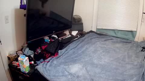 Highnesscali37 online show from December 2024 12:28:01 PM