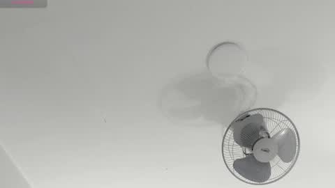 hilary_tailor online show from January 2026 12:44:02 PM