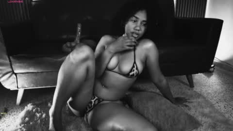    - 29p online show from June 2026 08:58:01 PM