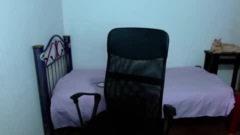 Snapshot of hinata_9 chatting on September 2025 03:17:01 AM 0600AM-1100AM - online show from September 2025 03:17:01 AM