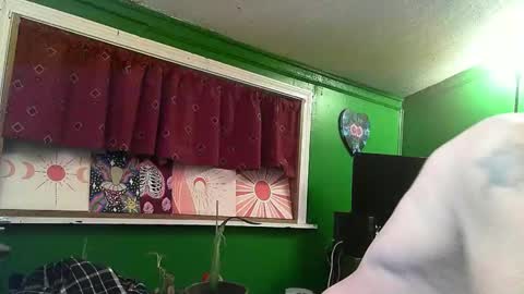 Snapshot of hippiedad333 chatting on April 2026 01:27:01 AM hippiedad333 online show from April 2026 01:27:01 AM