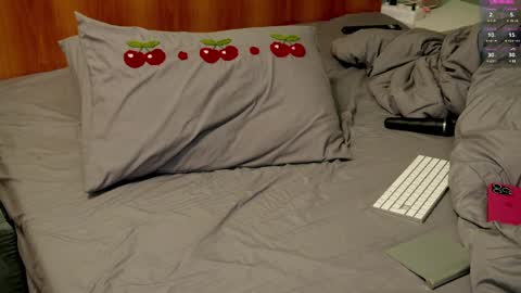 Snapshot of ho1yh01e chatting on February 2025 11:47:02 PM Holly online show from February 2025 11:47:02 PM