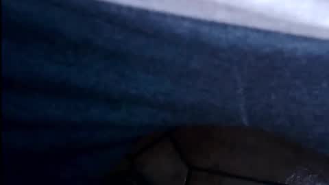 hofnung online show from February 2026 12:44:02 PM