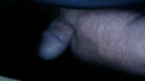 hofnung online show from May 2026 12:29:02 AM