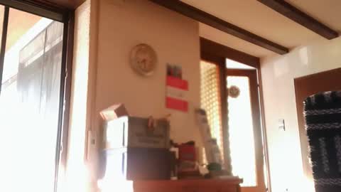 hofnung online show from May 2026 05:28:01 PM