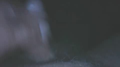 hofnung online show from June 2026 12:32:02 AM