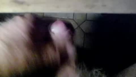 hofnung online show from June 2026 12:31:01 AM