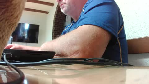 hofnung online show from July 2026 01:17:01 PM
