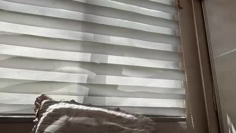 holly_wyn online show from March 2026 01:55:01 AM