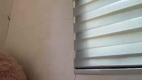 holly_wyn online show from April 2026 03:07:02 AM