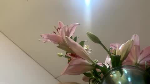 space online show from January 2026 02:28:01 AM