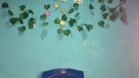 Queen online show from November 2025 01:48:01 AM