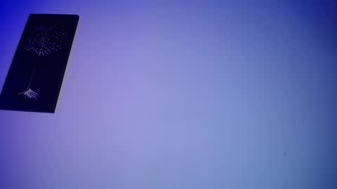 Honney online show from February 2025 03:22:01 AM