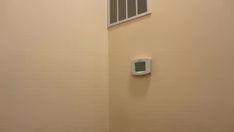 honey_man14 online show from February 2026 04:57:02 PM