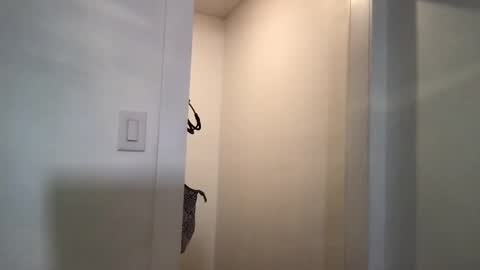 HoneyBeeXx69 online show from March 2025 02:25:01 AM