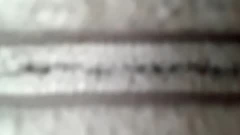 Snapshot of honeyboy010902 chatting on February 2026 04:00:02 PM honeyboy010902 online show from February 2026 04:00:02 PM