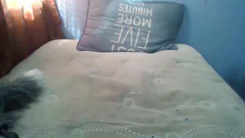 Snapshot of honeybut72uwu chatting on September 2025 09:59:02 PM Honeybut72 online show from September 2025 09:59:02 PM